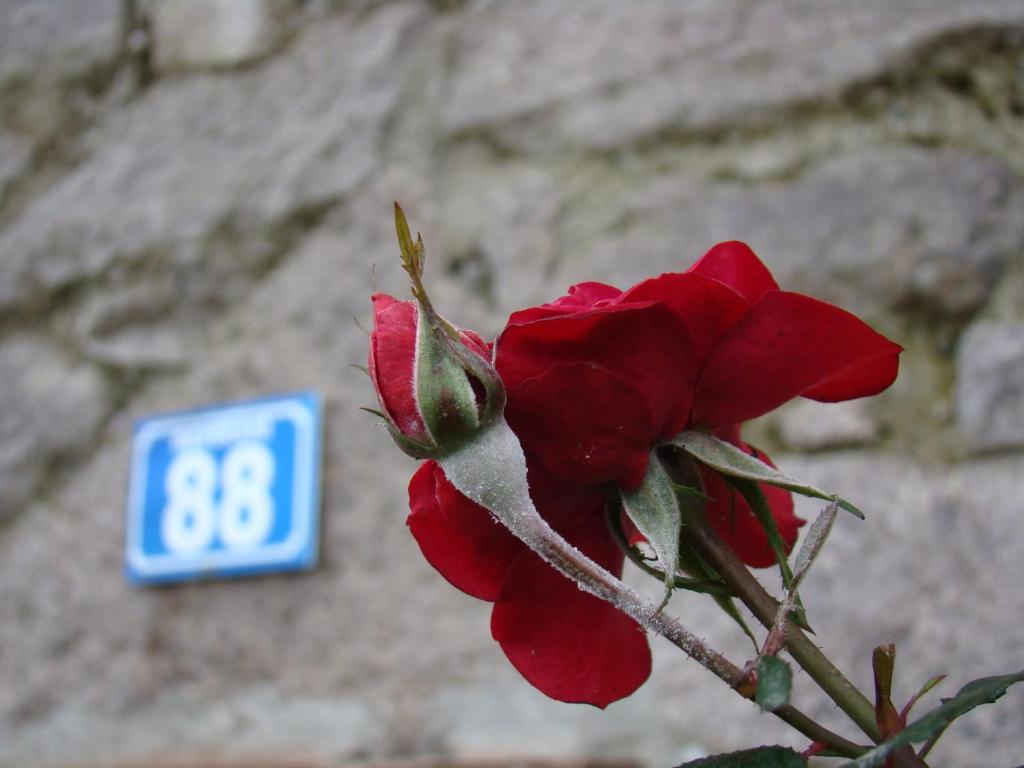 Hotel Assos Alarga Zewnętrze zdjęcie