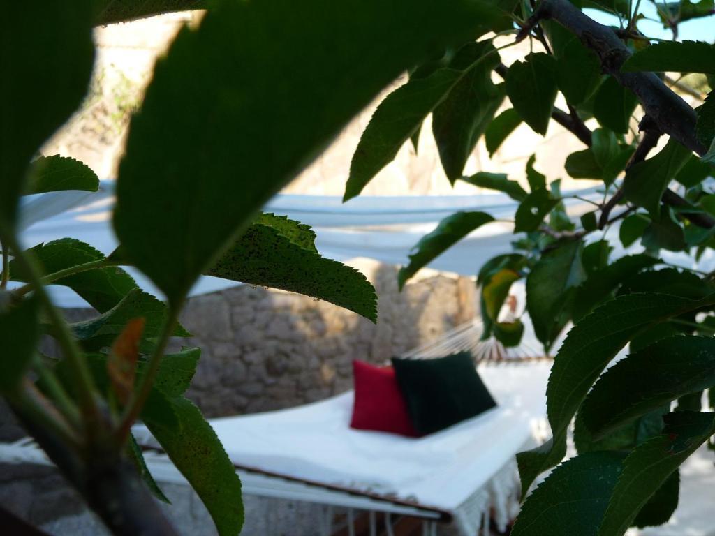 Hotel Assos Alarga Zewnętrze zdjęcie
